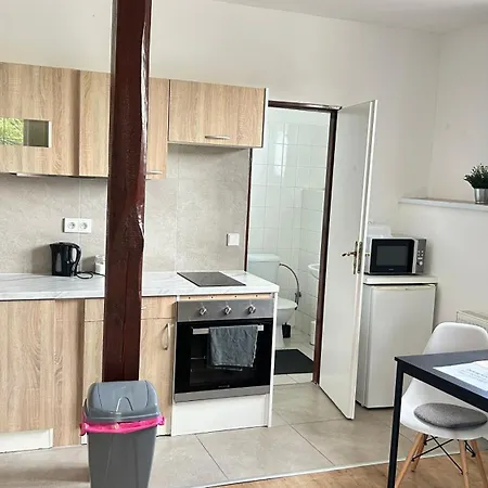U Prehrady Guest house
